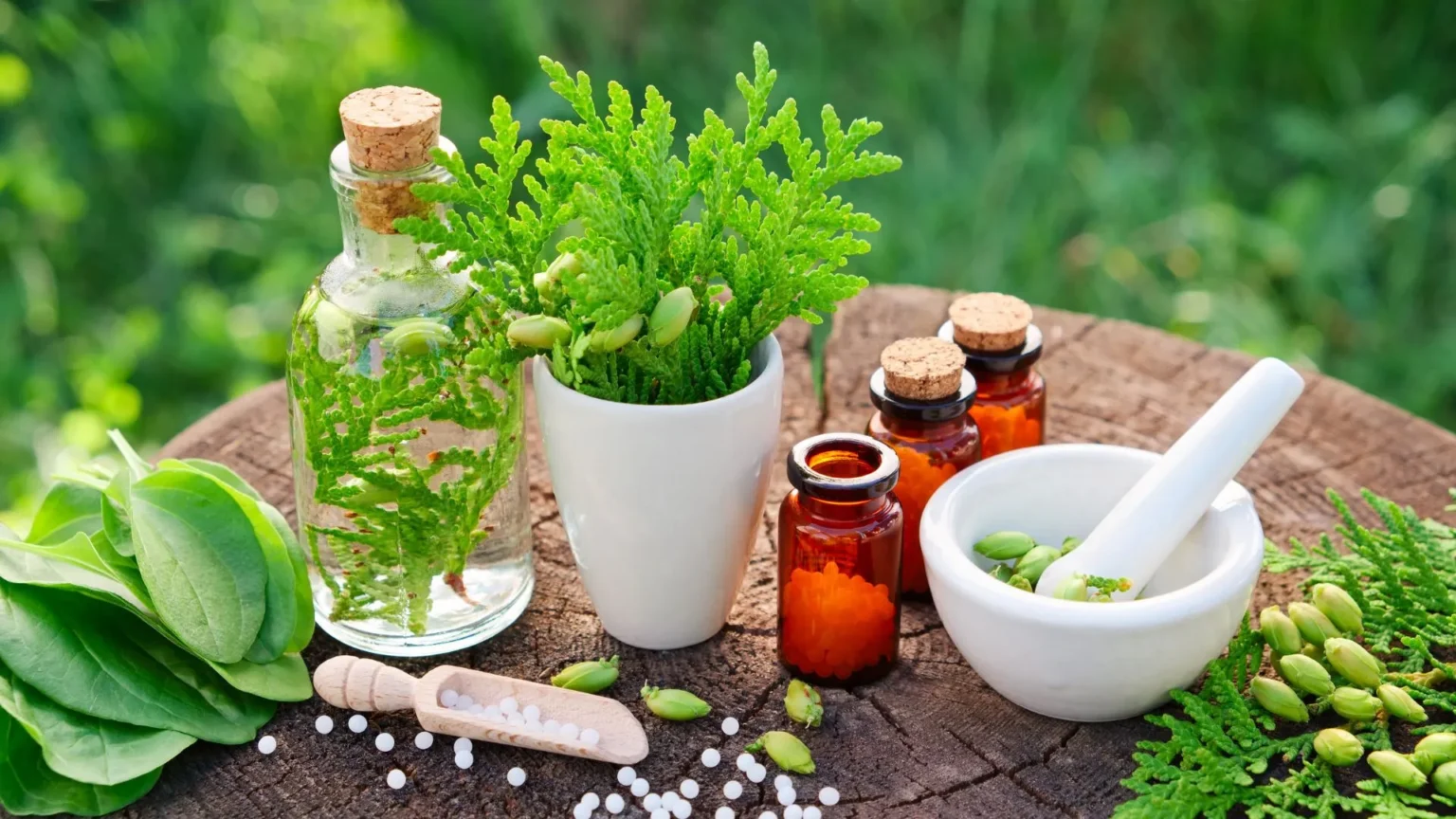 Naturopatia, TCM i fitoterapia